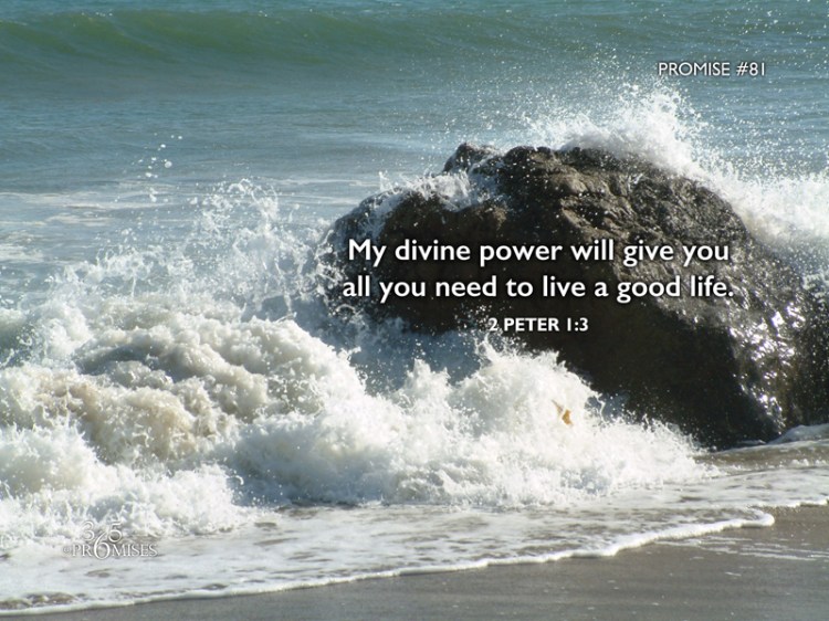 081-22MarP81BA2000x1500