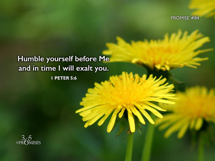 084-25MarP84BA2000x1500